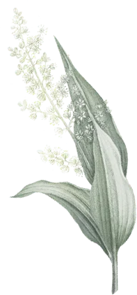 hair-flower-2